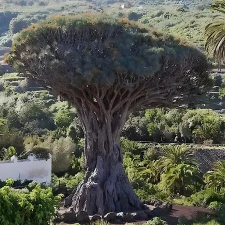 Dos Terrazas Centrico Pueblo Y Aparcamiento Cerca *