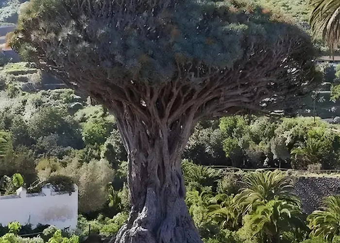 Dos Terrazas Centrico Pueblo Y Aparcamiento Cerca *